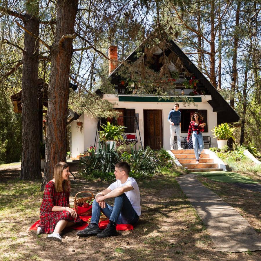Ladybird Lodge 벨라 츠르크바 외부 사진